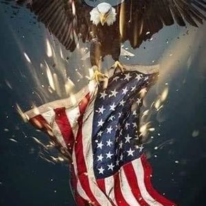 Meet your Posher, Donald